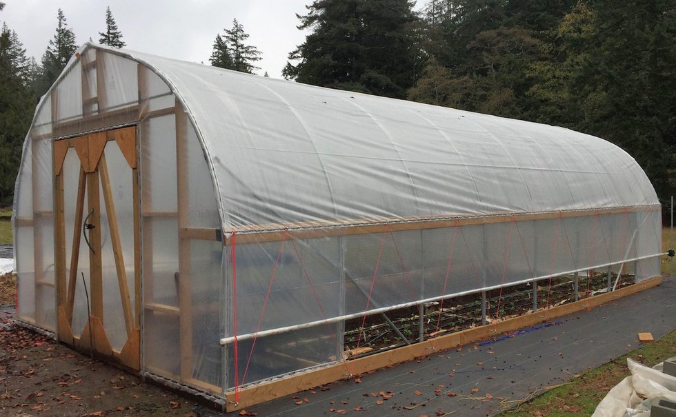 What we learned from building a high tunnel Small Farm Canada